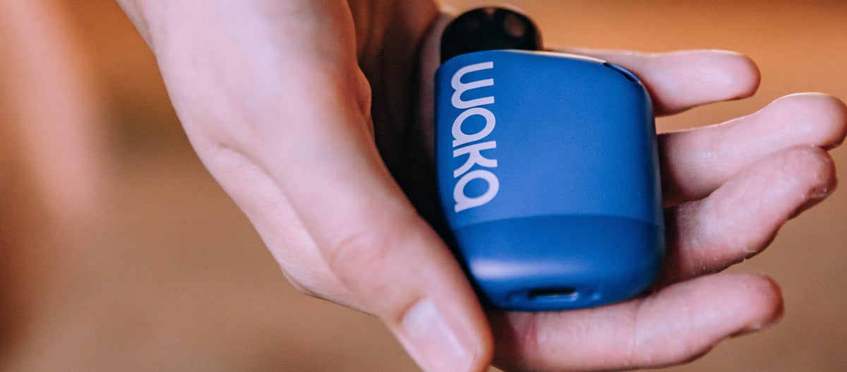 best pod flavors 2024