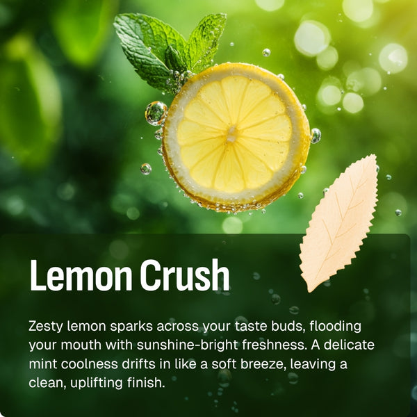 RELX AirPouch | Nicotine Pouch
