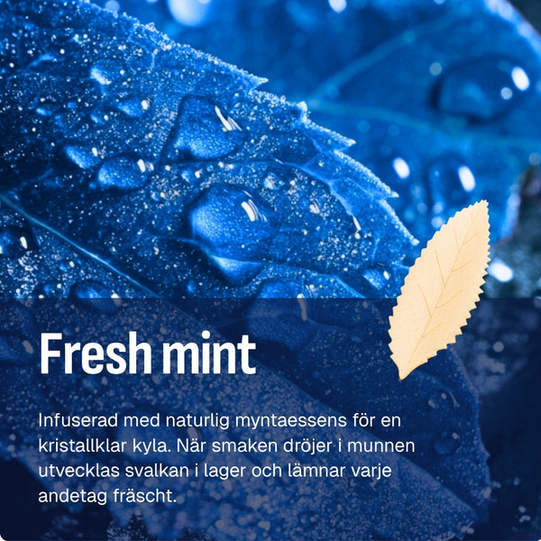 Experience RELX Global Nicotine Pouch RELX Nicotine AirPouch Fresh Mint Natural Mint 9mg/piece Nicotine  < 1mm Thin 🌿
