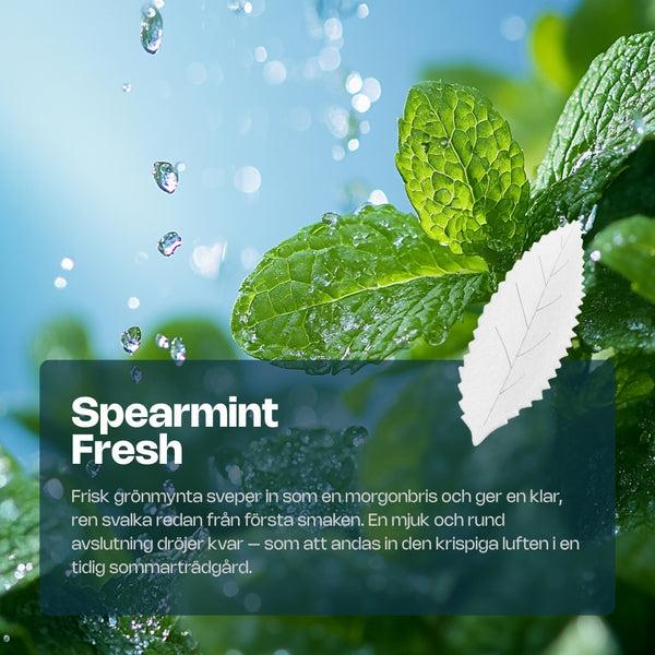 RELX Pouch | Nicotine AirPouch
