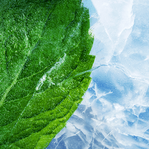 Explore Halloween Deals on  RELX Global Vape RELX Pod Pro Menthol Xtra(1 Packed) Menthol Xtra 0% Nicotine  
