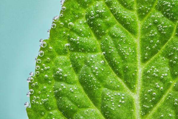 Explore Halloween Deals on RELX Pod Pro shop-black-friday-deals-on-relx-pod-pro-relx-global-official-34543238414470
